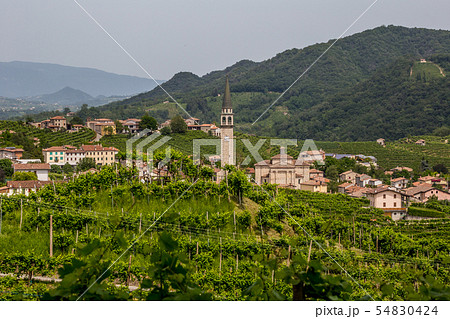 Santo Stefano village surrounded by vineyards Santo Stefano village surrounded by vineyards 54830424