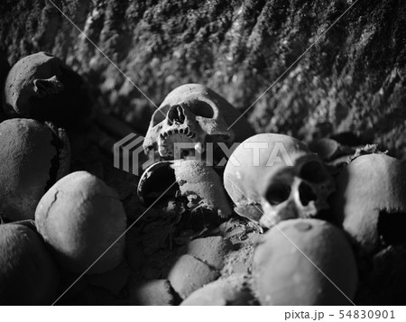 Skull and bones 54830901