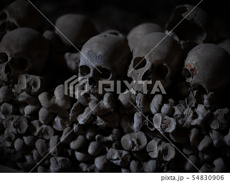Skull and bones Skull and bones 54830906