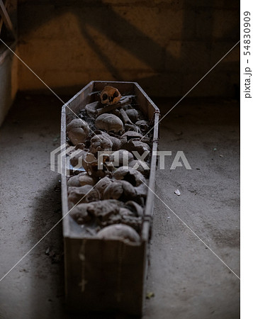 Skull and bones 54830909