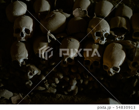 Skull and bones Skull and bones 54830913