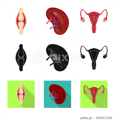 Vector illustration of biology and scientific sign. Set of biology and laboratory vector icon for 54831169
