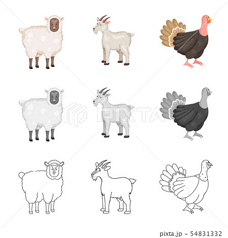 Vector design of breeding and kitchen logo. Set of breeding and organic vector icon for stock. 54831332