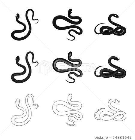 Isolated object of mammal and danger symbol. Set of mammal and medicine stock symbol for web. 54831645