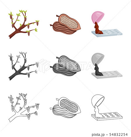 Vector illustration of food and yummy logo. Set of food and brown stock symbol for web. 54832254