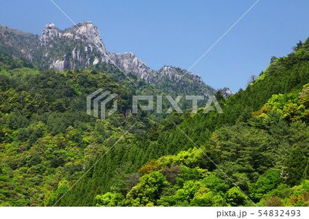 新緑の大崩山 54832493