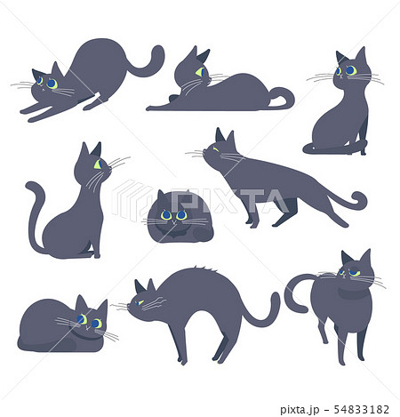 黒猫 猫 ポーズ 表情 色々のイラスト素材 54833182 Pixta