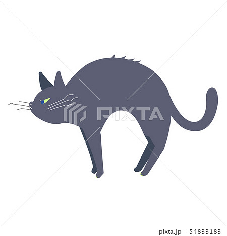黒猫 猫 ポーズ 表情 威嚇のイラスト素材 54833183 Pixta