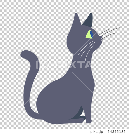 黒猫 猫 ポーズ 表情 横顔のイラスト素材
