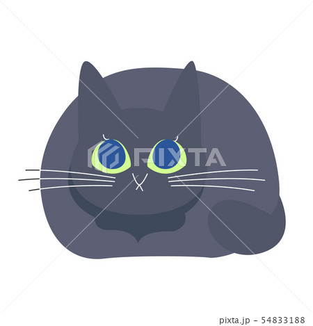 黒猫 猫 ポーズ 表情 香箱すわりのイラスト素材 [54833188] - PIXTA