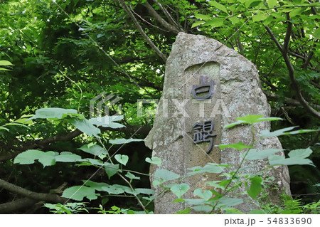 【山形県 日本の観光名所】白銀の滝 54833690