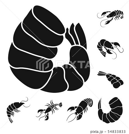 Isolated object of meat and delicacy symbol. Collection of meat and crab stock vector illustration. Isolated object of meat and delicacy symbol. Collection of meat and crab stock vector illustration. 54833833