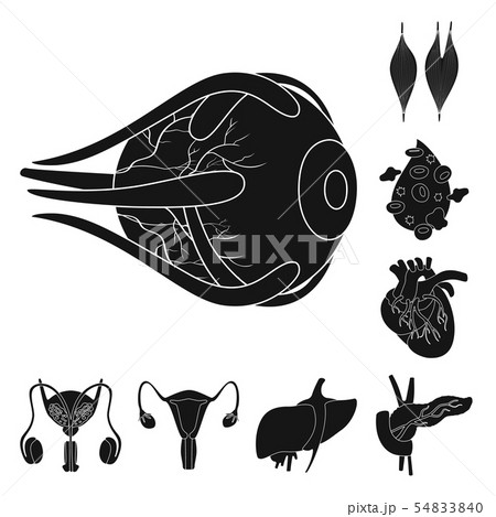 Vector design of research and laboratory symbol. Set of research and organ vector icon for stock. Vector design of research and laboratory symbol. Set of research and organ vector icon for stock. 54833840