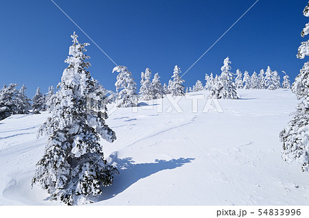 樹氷 54833996