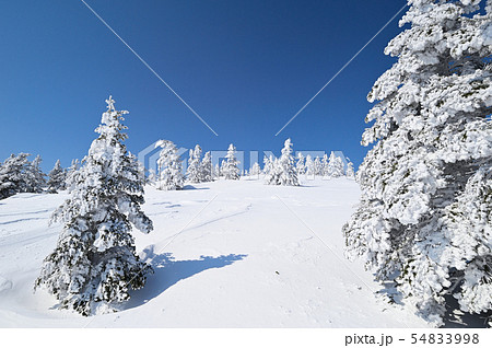 樹氷 54833998