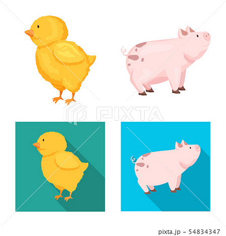 Vector illustration of breeding and kitchen symbol. Set of breeding and organic stock vector 54834347
