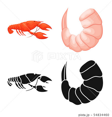 Vector design of appetizer and ocean icon. Set of appetizer and delicacy stock symbol for web. Vector design of appetizer and ocean icon. Set of appetizer and delicacy stock symbol for web. 54834460