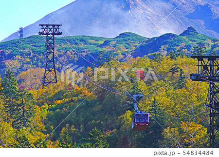 北海道　旭岳　紅葉 54834484