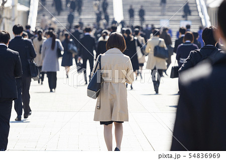 就活する大学生の風景　女性メイン 54836969