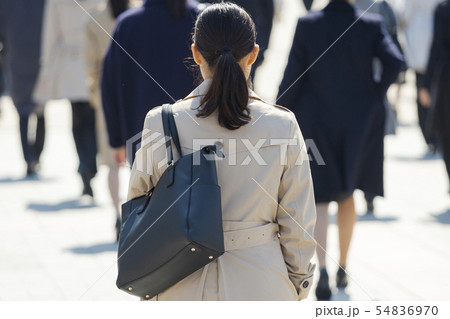 就活する大学生の風景 女性メイン 就活する大学生の風景 女性メイン 54836970