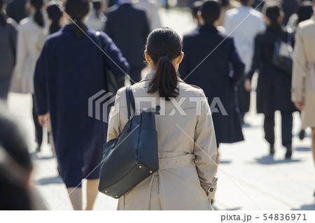 就活する大学生の風景　女性メイン 54836971