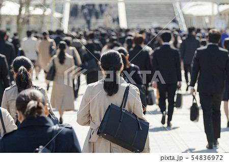 就活する大学生の風景　女性メイン 54836972