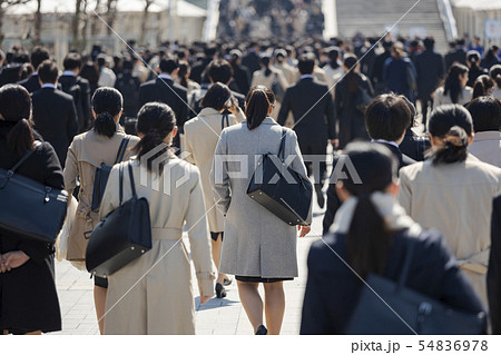 就活する大学生の風景　女性メイン 54836978