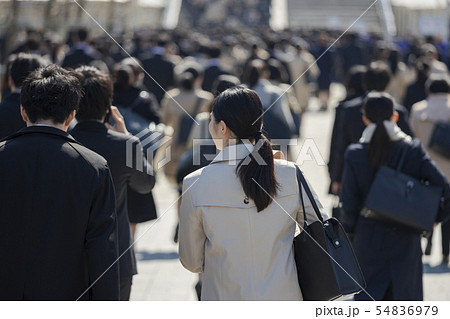 就活する大学生の風景 女性メイン 就活する大学生の風景 女性メイン 54836979