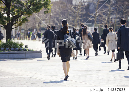 就活する大学生の風景　女性メイン 54837023