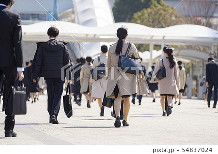 就活する大学生の風景 女性メイン 就活する大学生の風景 女性メイン 54837024