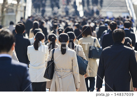 就活する大学生の風景　女性メイン 54837039