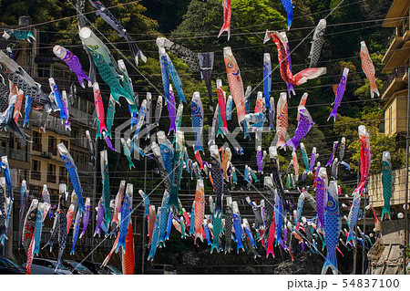 杖立温泉 こいのぼり 杖立温泉 こいのぼり 54837100