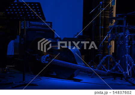 ライブステージのウッドベース 54837602