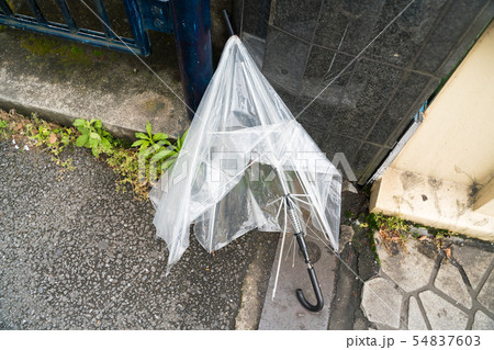折れた傘 折れた傘 54837603