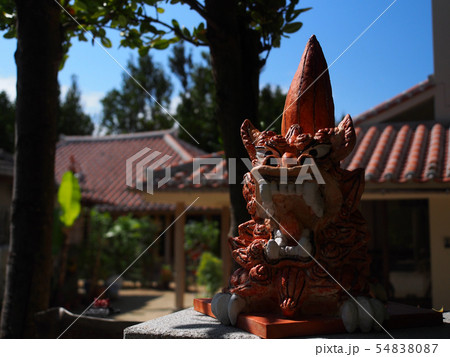 沖縄備瀬のフクギ並木のシーサー 54838087