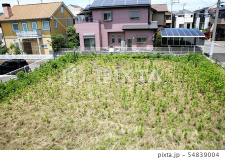 空き地 54839004