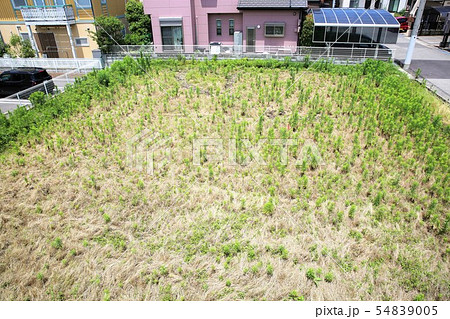 空き地 54839005