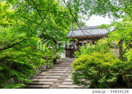 京都 毘沙門堂門跡 薬医門 京都 毘沙門堂門跡 薬医門 54839128