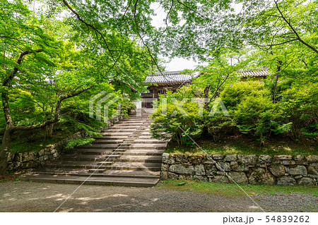 京都毘沙門堂 新緑と薬医門 54839262
