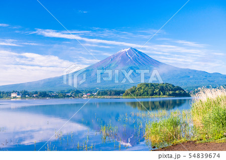 （山梨県）河口湖大石公園から望む、富士山 54839674