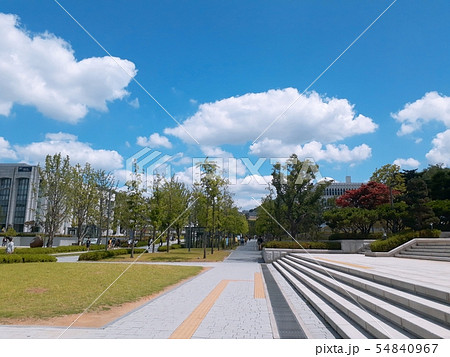延世大 キャンパス 雲 54840967