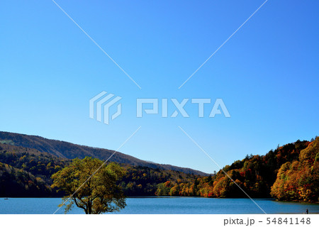 奥日光、丸沼の紅葉 54841148