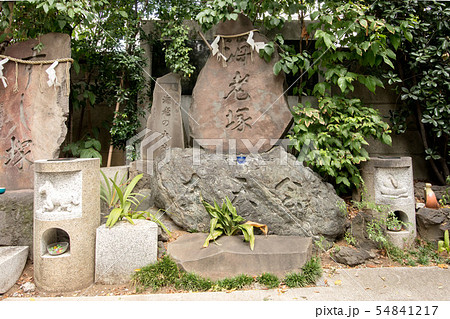 波除神社 54841217