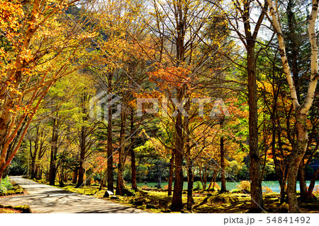 奥日光、丸沼の紅葉 54841492