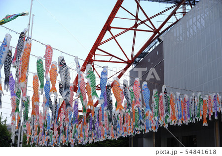 東京タワーと鯉のぼり 54841618