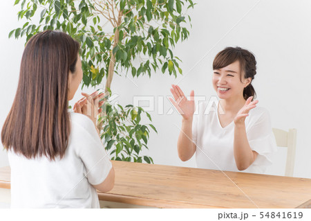 会話する女性たち 54841619