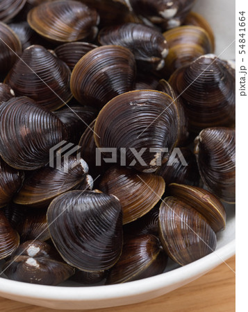 シジミ　北海道網走湖産 54841664