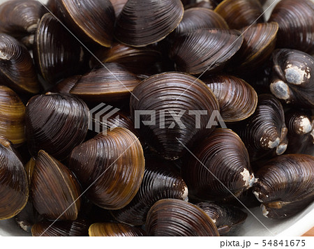 シジミ　北海道網走湖産 54841675