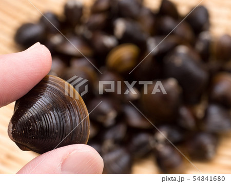 シジミ　北海道網走湖産 54841680