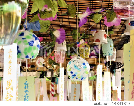 風鈴祭り 54841818